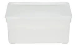 Rotho Aufbewahrungsbox, 2er Set