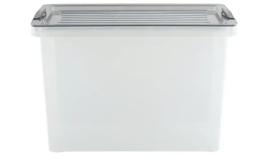 Rotho Aufbewahrungsbox mit Deckel