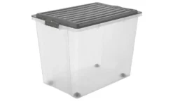 Rotho Aufbewahrungsbox mit Deckel