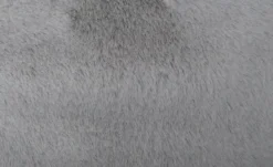 Webteppich Teddy